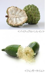 ケイオプティコム1